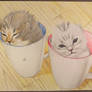 Teacup Kittens.