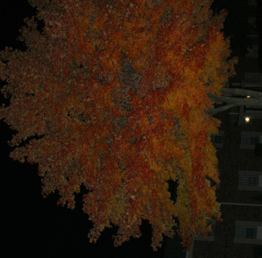 Creepy Indiana Urban Fall by ferrhousulfate