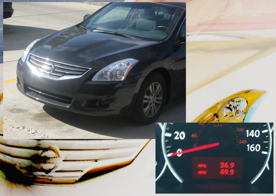 Car collage, or why I love it by ferrhousulfate