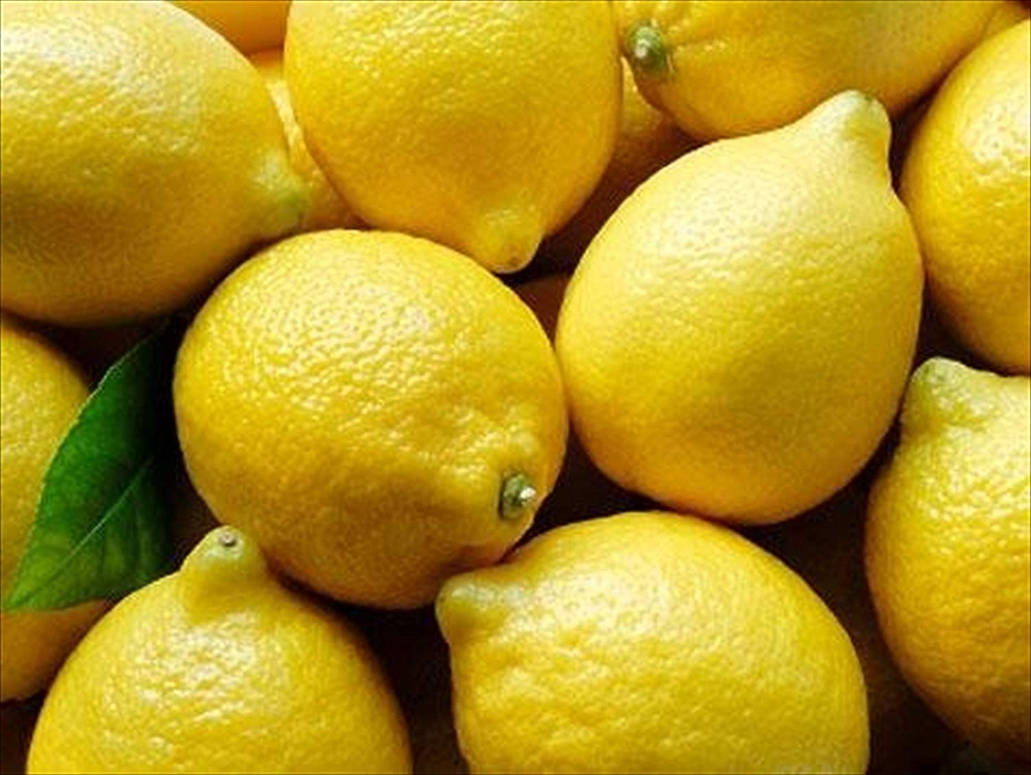 Почему лимон желтый. Лимон. Красивый лимон. Желтый лимон. Лимон ЮАР.