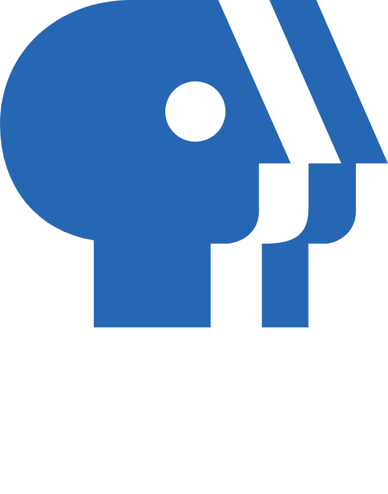 PBS Logo by WessieBoi99 on DeviantArt