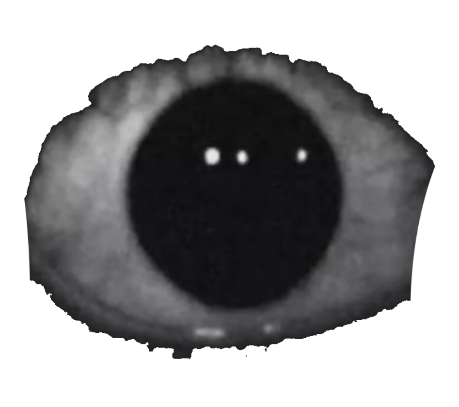 Creepy Eye by WessieBoi99 on DeviantArt