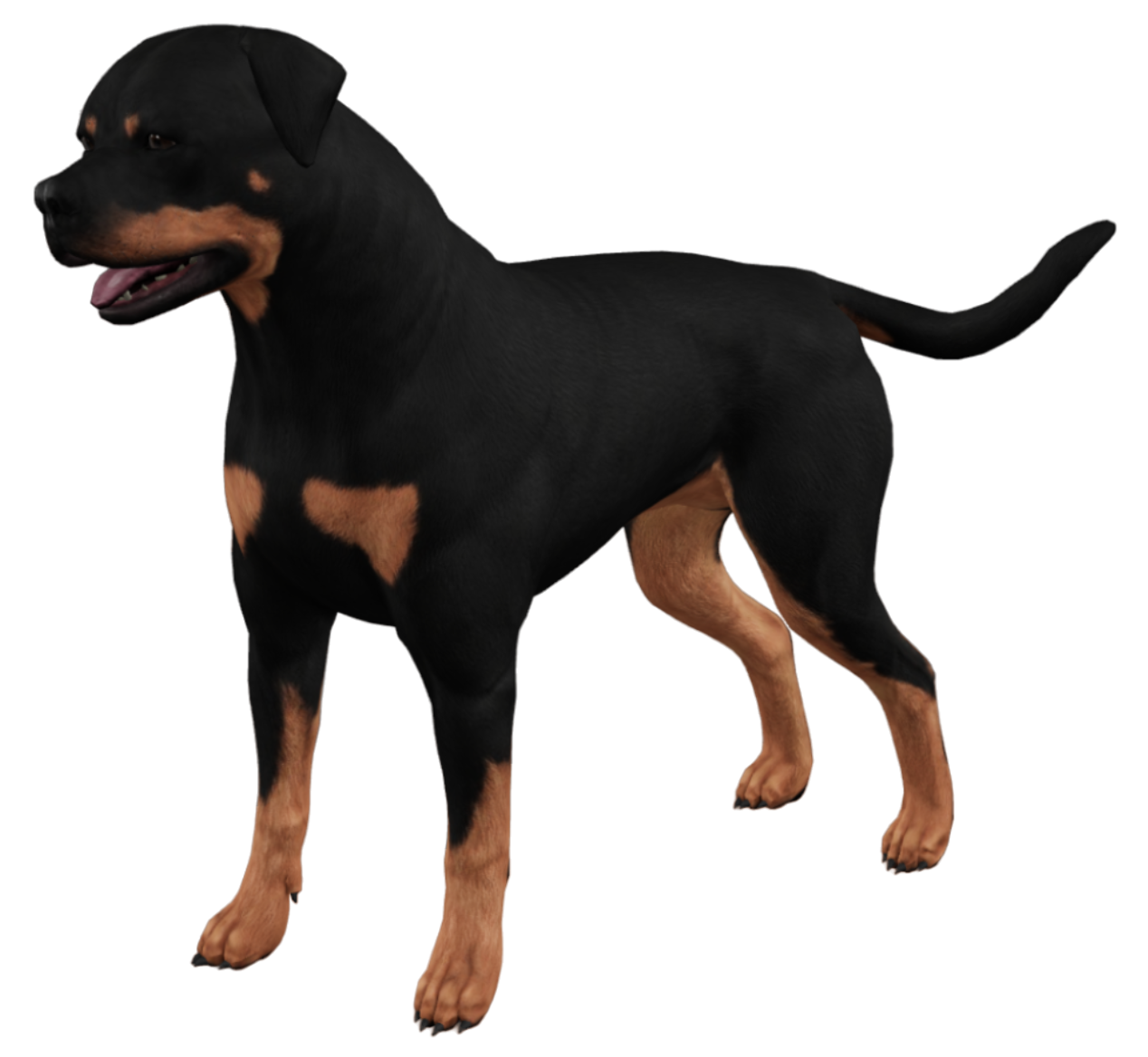 Opensim Rottweiler 3D Rottweiler by WessieBoi99 on DeviantArt