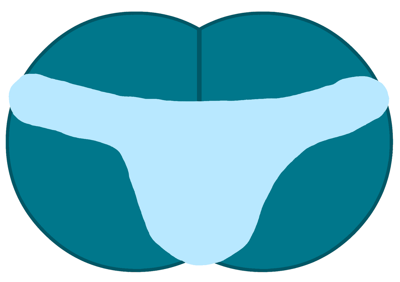 Bahamas Butt Asset Thong by WessieBoi99 on DeviantArt