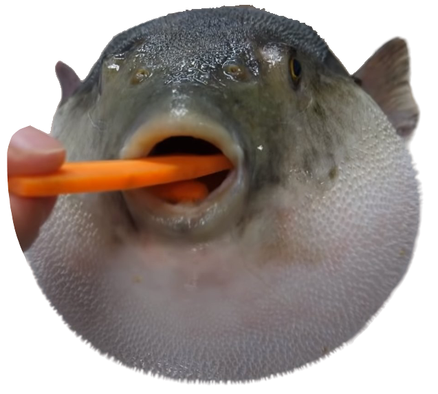 Pufferfish Eating A Carrot PNG By WessieBoi99 On DeviantArt pufferfish-eating-a-carrot-png-by-wessieboi99-on-deviantart
