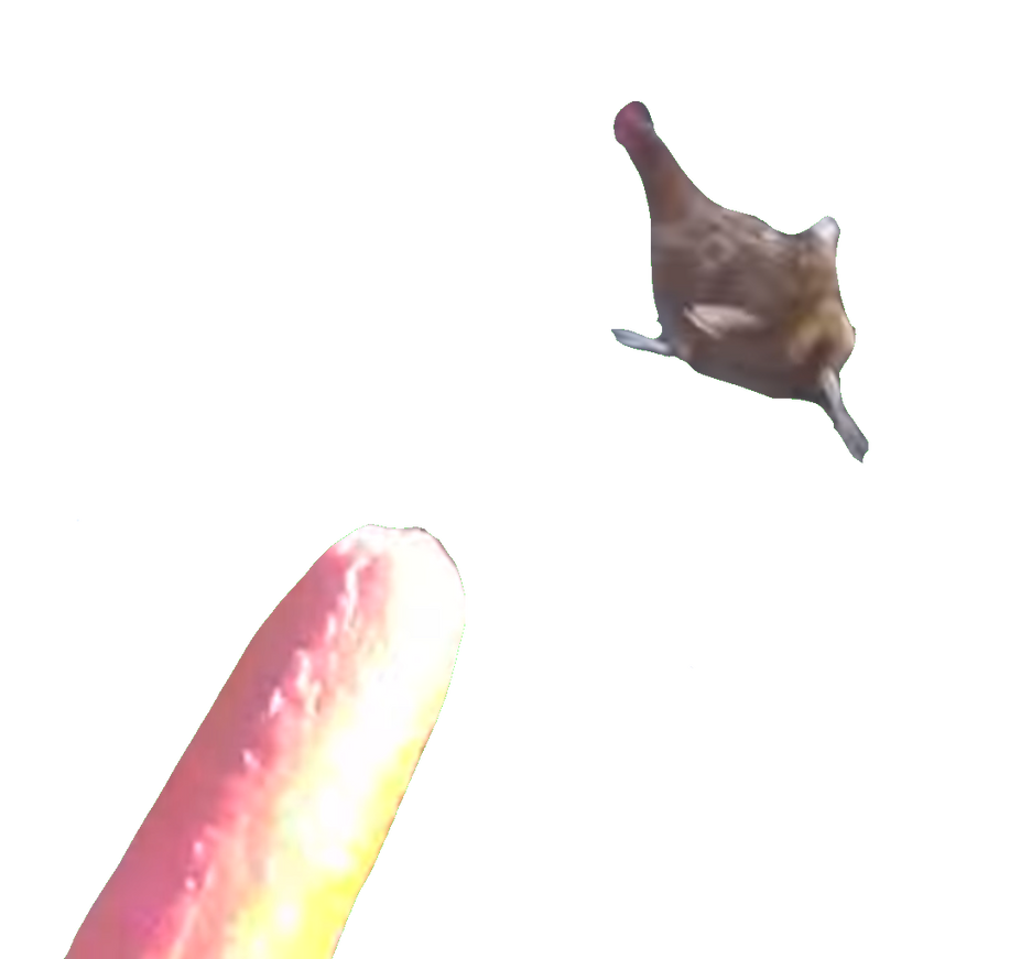 HowToBasic Chasing A Chicken With A Sausage by WessieBoi99 on DeviantArt