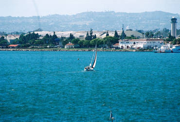 Sailing in San Diego