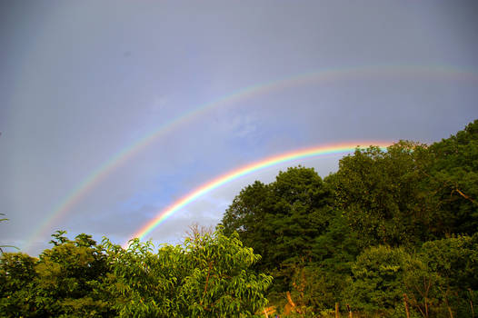 rainbow over the hill