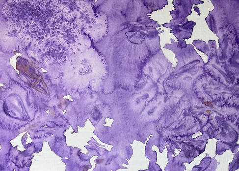 Carnation Painting in Purple