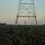 Fields at Dusk