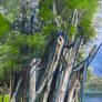 Local Tree IV