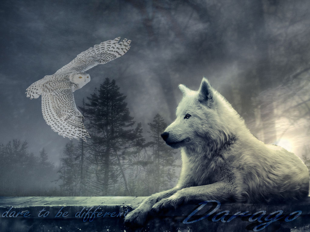 Darago Darago by woofalicious on DeviantArt