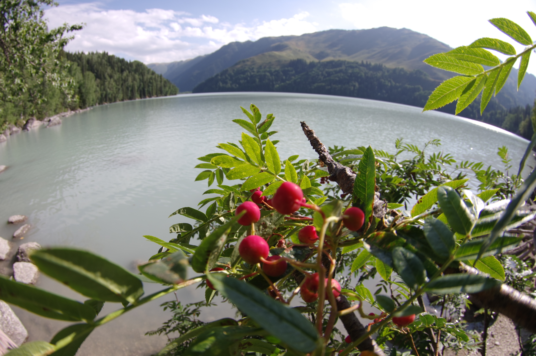 Rowantree on lake