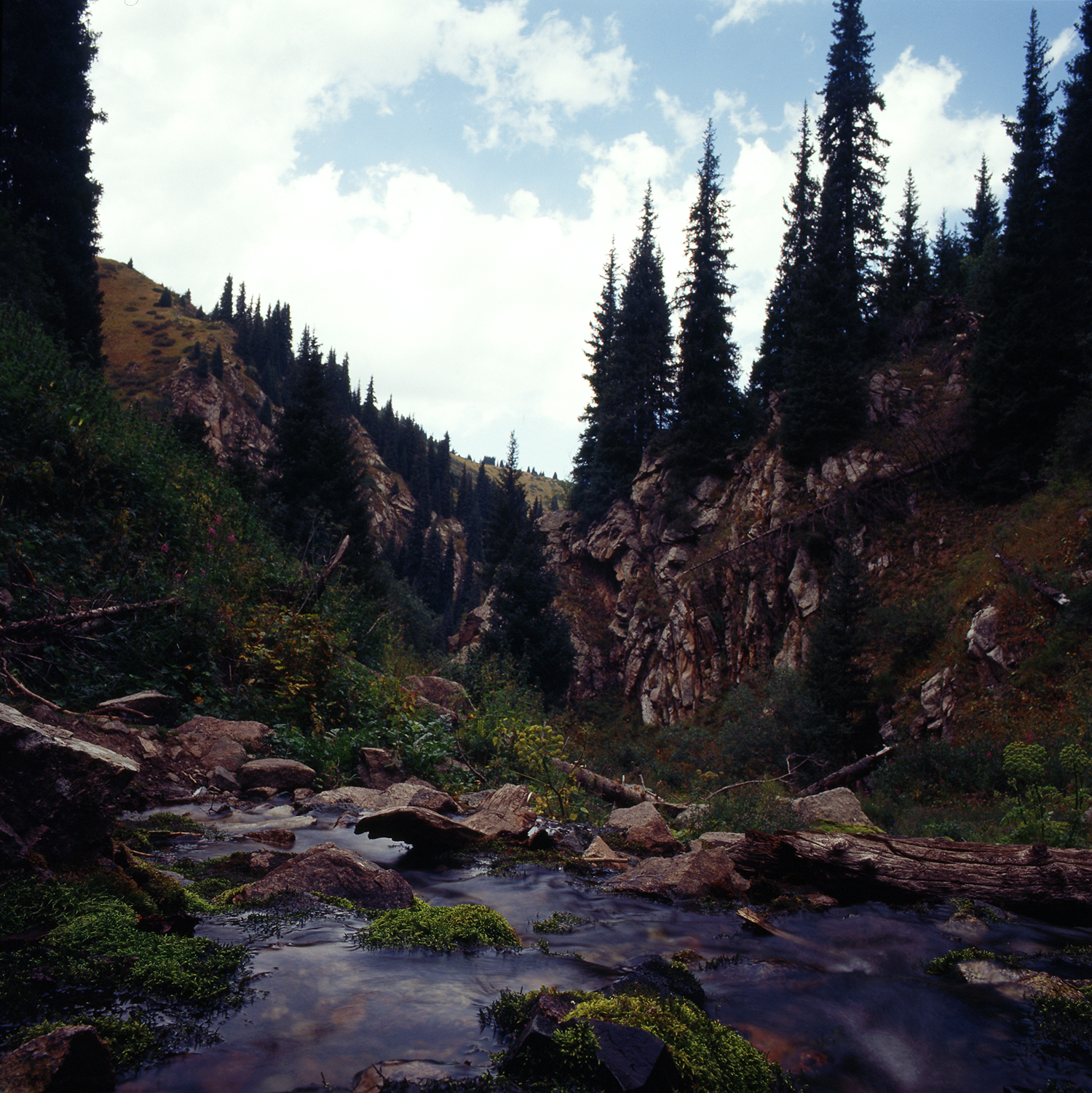 Water, rocks and spruces