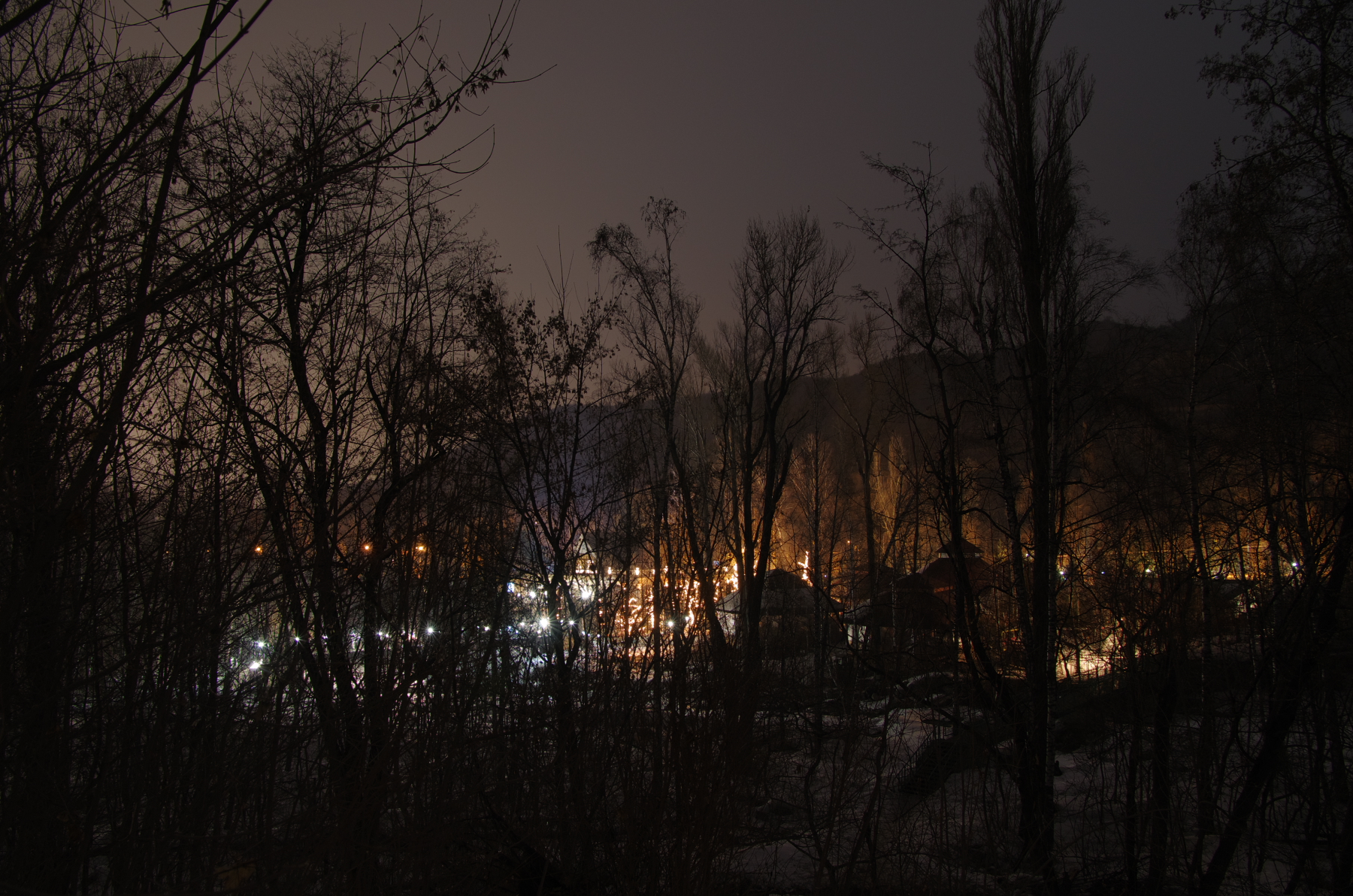 Lights through brushwood