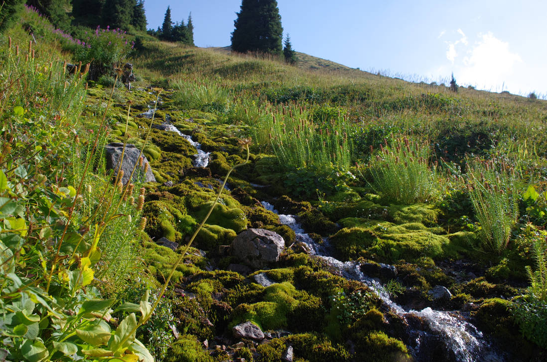 Mountain rivulet by voldemometr on DeviantArt