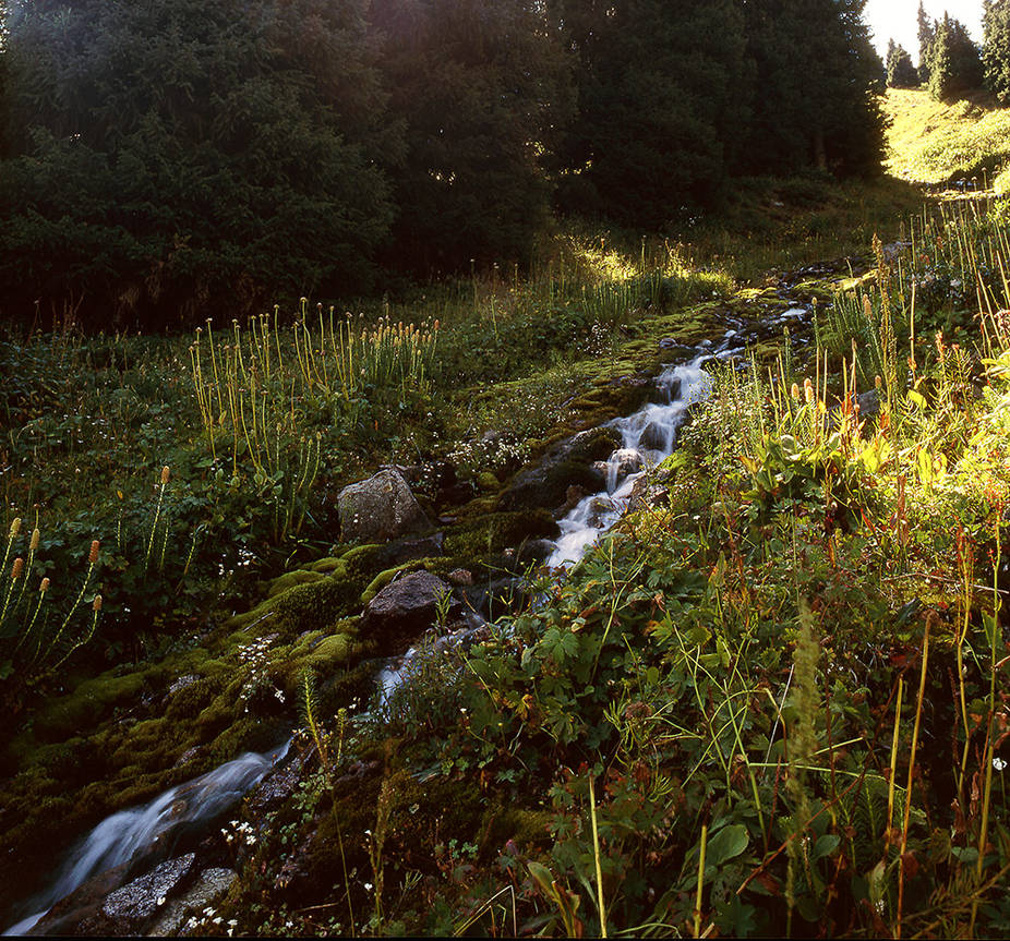 High-mountain rivulet by voldemometr on DeviantArt