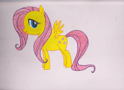 Fluttershy coloured