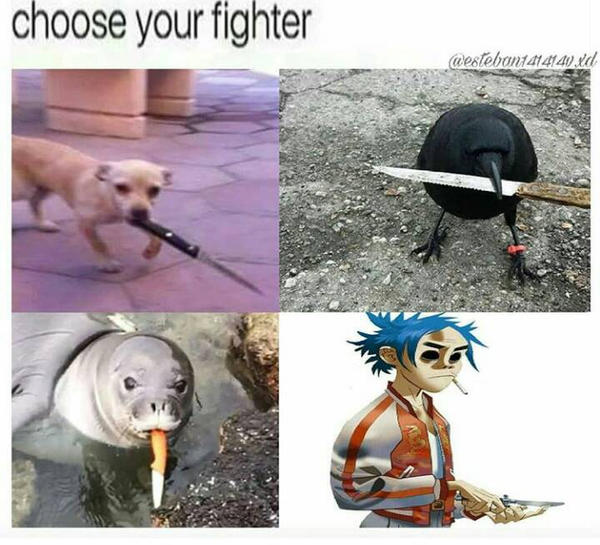 Choose Your Fighter By Francy Is The Best On Deviantart Choose Your Fighter By Francy Is The Best On Deviantart