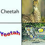 Cheetah/Yeetah