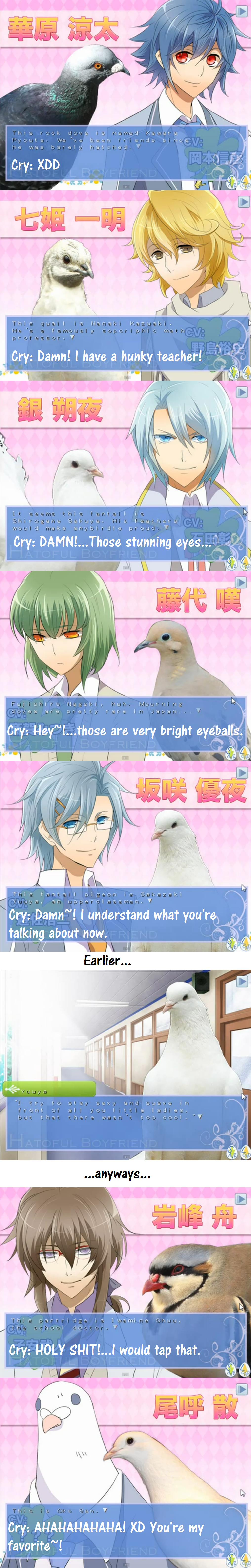 Cry Reaction to Guys in Hatoful Boyfriend