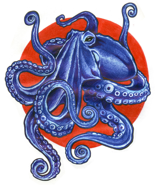 octopus