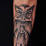 peace owl