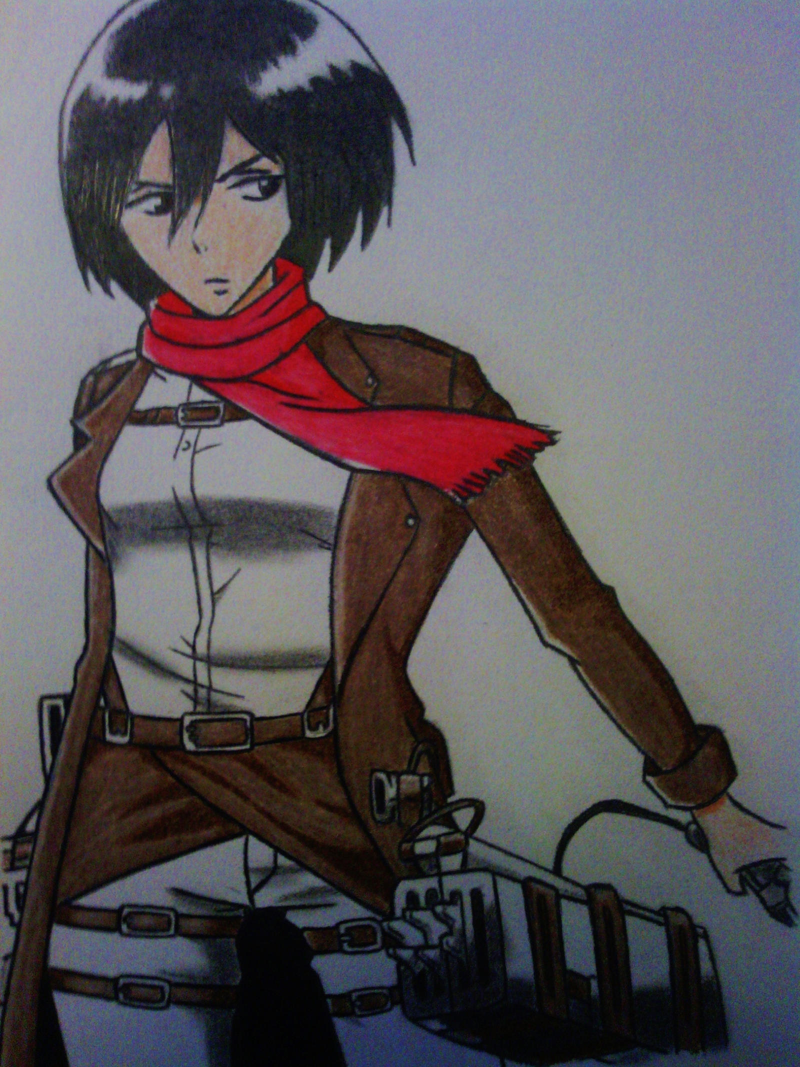 Aot - Mikasa Ackerman