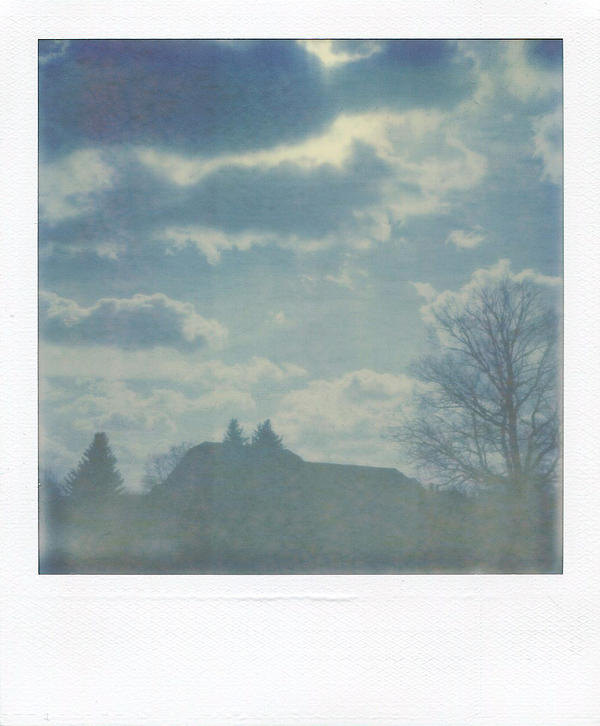 Pola_06.03.2011