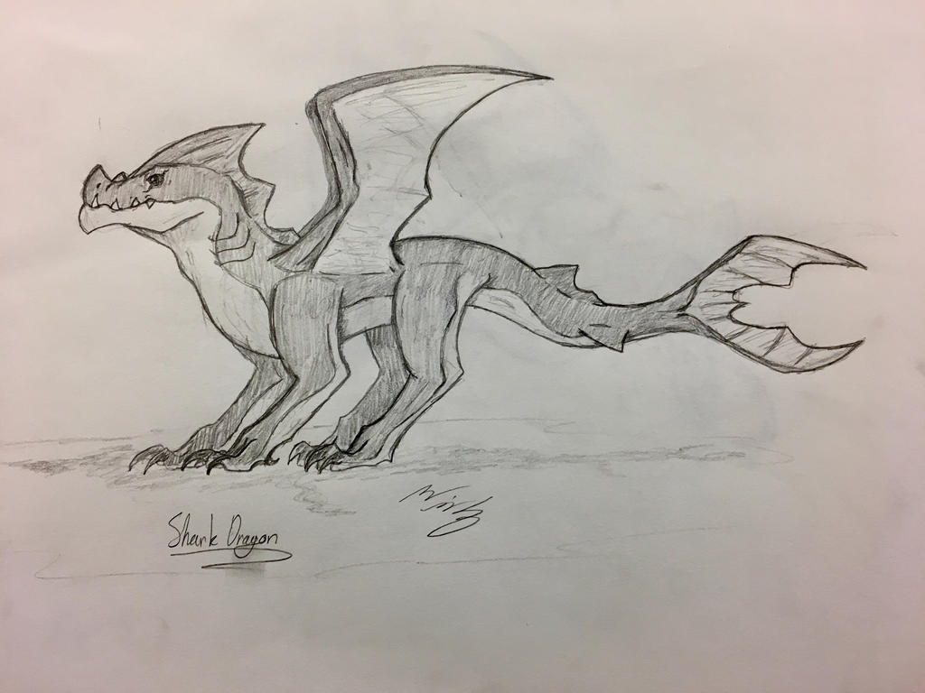 Shark dragon by drawsomething13 on DeviantArt