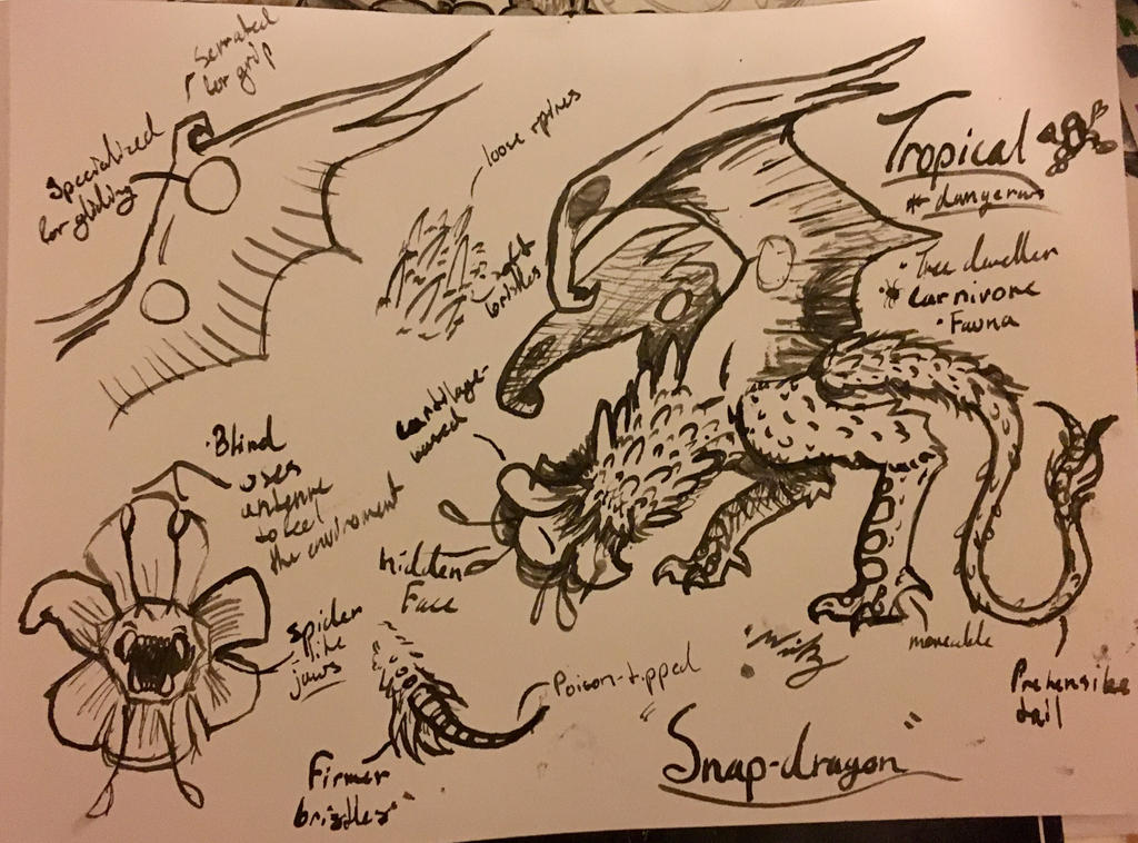 Snap dragon by drawsomething13 on DeviantArt