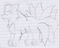 Ninetailed Tanuki Rough