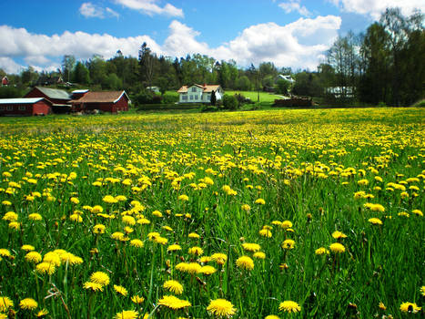 Swedish Country