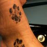 Tattoo Cat paw print