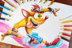 CRASH BANDICOOT Art Tradicional - calesote514