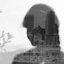 Multiple Exposure