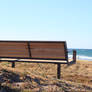 Beach during summer
