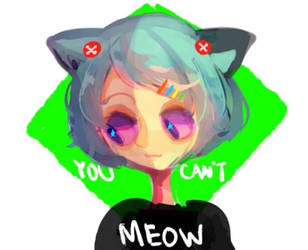 you cunt meow