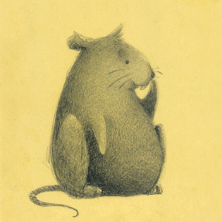 small series - rat