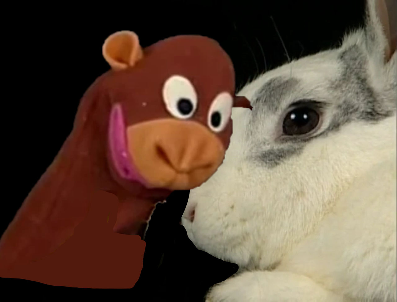 NA: Pavlov and The Bunny (Jane The Monkey's ver.) by ehrisbrudt on ...