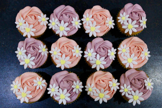 Pretty daisy cupcakes