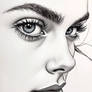 Sketch *