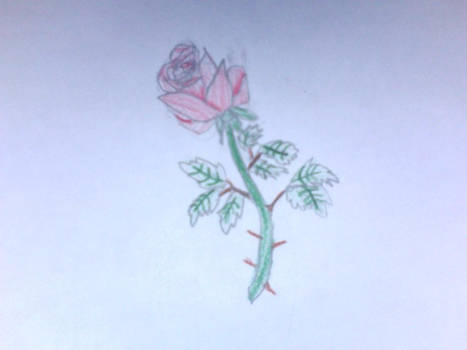 Rose-Colored