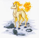 Ponyta- Markers by digital-blood