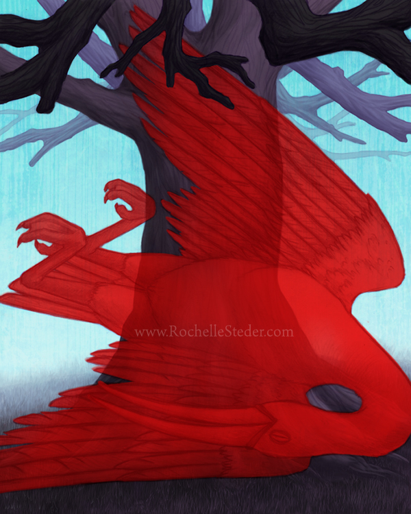 Illustration Scarlet Ibis 2