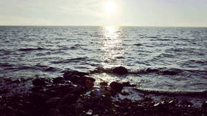 Beach in Denmark