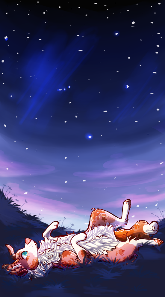 Stargazing