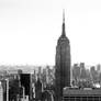 Empire State Human