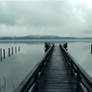 The Silence