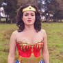 Wonder Woman Lynda Carter Cosplay